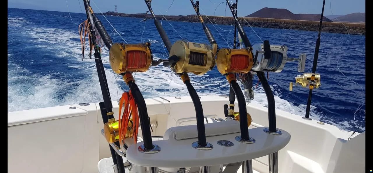 WhatsApp Image 2026-04-15 at 14.01.06 (3)